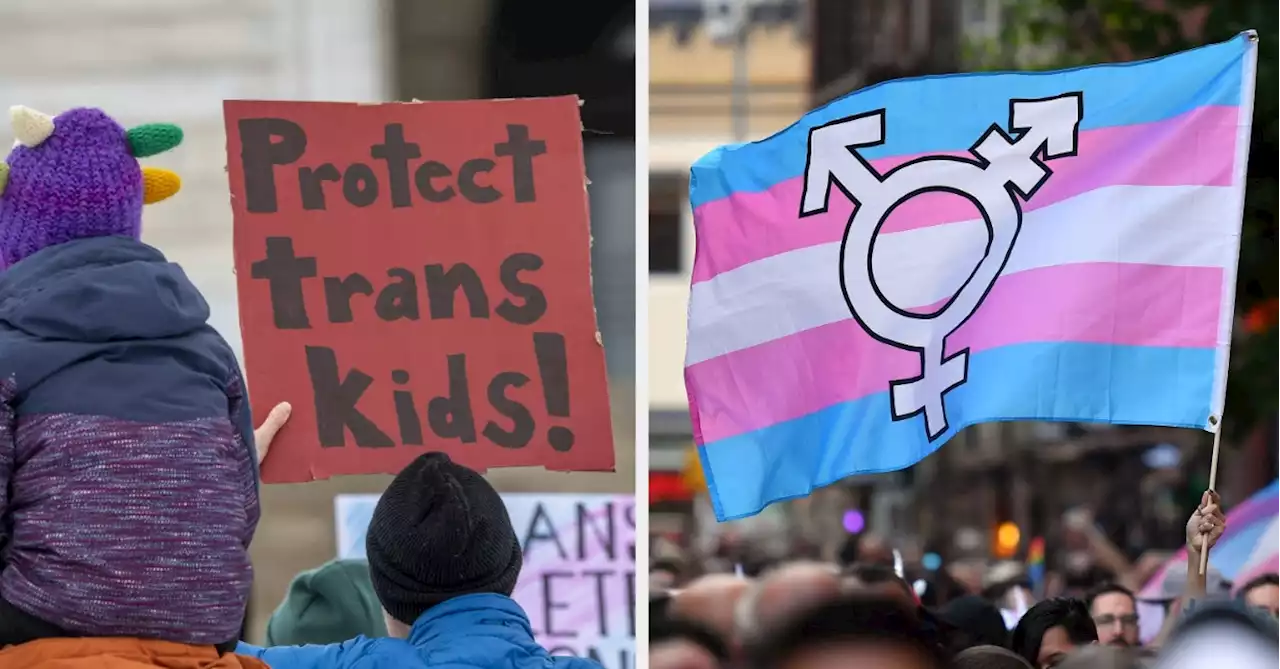 Parents Of Transgender And Nonbinary Children And Teens Are Sharing Their Stories, And It's Important
