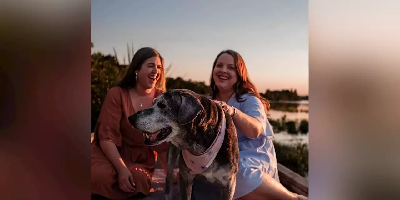 Best friends adopt 19-year-old dog, Annie, take her on yearlong ‘bucket list’ adventure