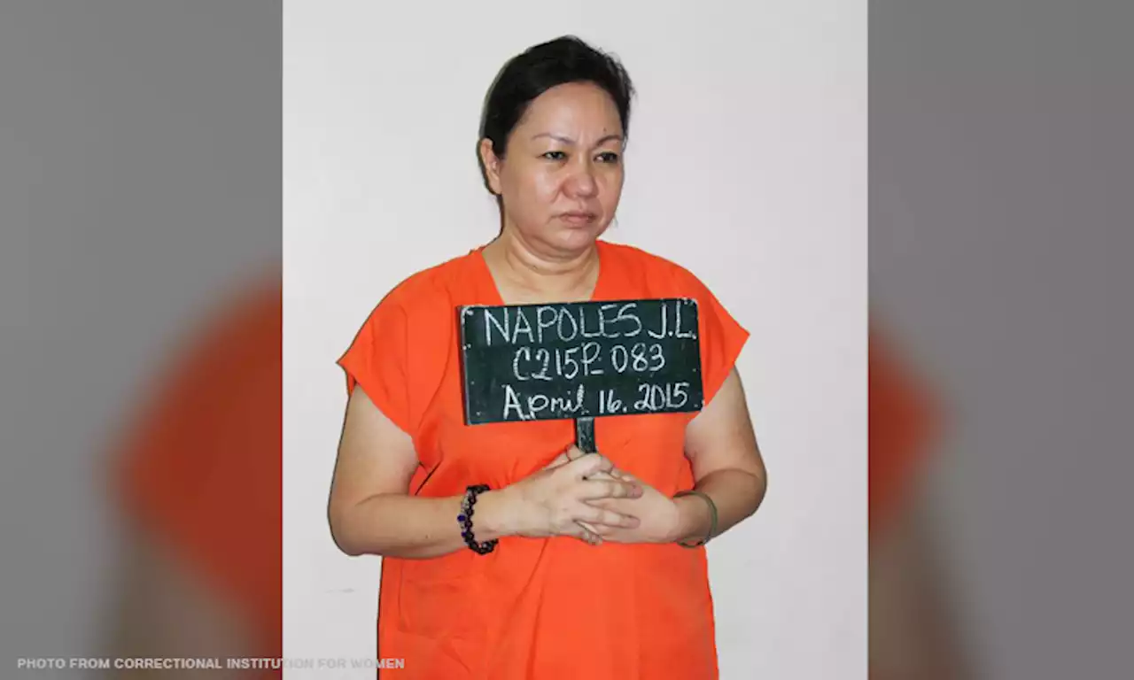 Janet Napoles, ex-Davao solon convicted of graft, malversation over PDAF scam