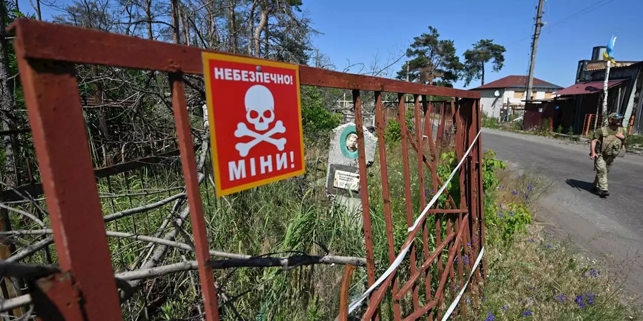 HRW Urges Accountability as Evidence of 'Devastating' Ukrainian Landmine Use Mounts