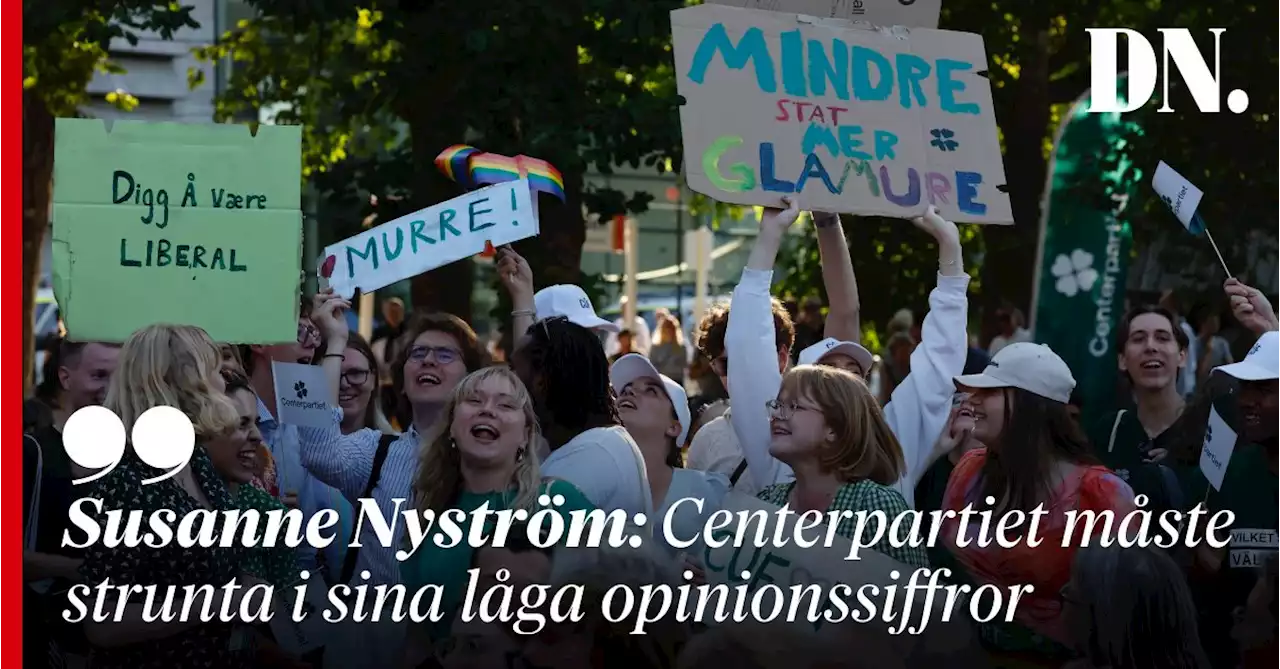 Susanne Nyström: Centerpartiet måste strunta i sina låga opinionssiffror