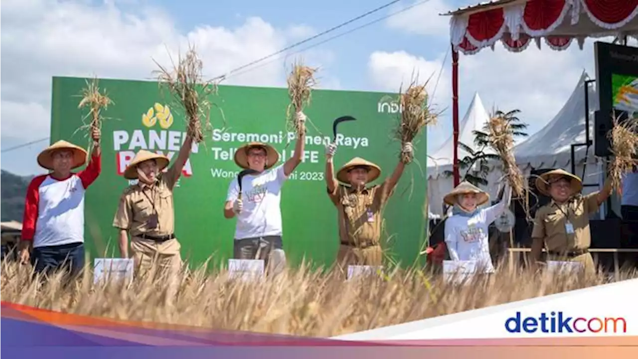 Petani di Wonogiri Panen 200 Ton Gabah Hasil Digitalisasi Pertanian