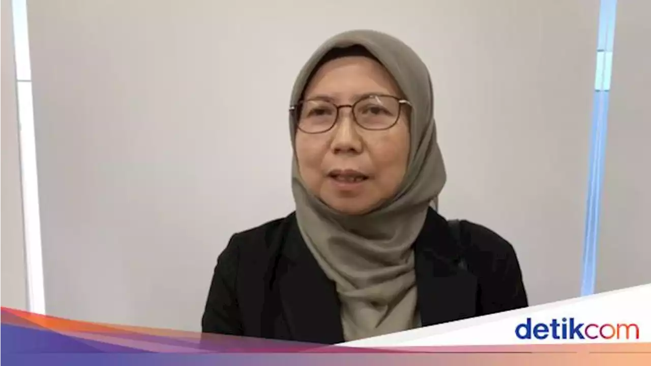 RI Punya Banyak Nikel, PLN Ingin IBC Jadi Perusahaan Besar