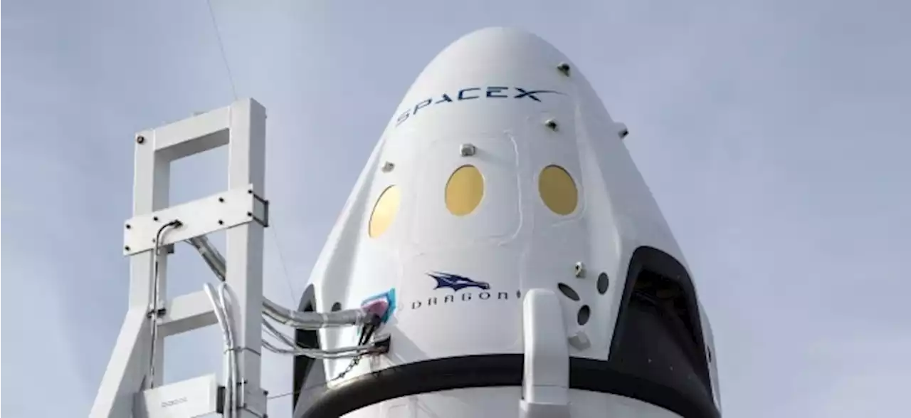 Jüngster Software-Ingenieur aller Zeiten: SpaceX stellt 14-Jährigen ein