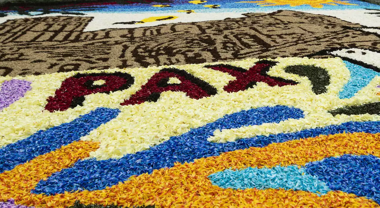 Vaticano, il Papa ammira l'Infiorata della pace, dodici maxi opere fatte con fiori e altri materiali su via della Conciliazione