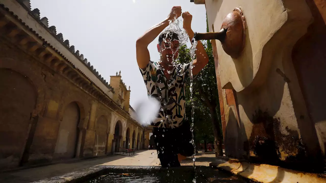 La OMS teme que este verano sea tan mortal como el anterior en Europa