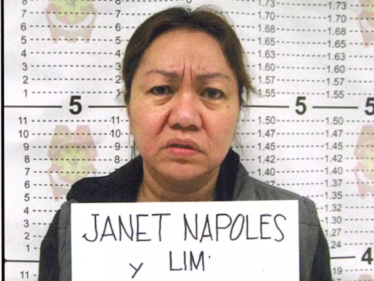 Sandiganbayan convicts ex-Davao del Norte solon, Napoles for graft over PDAF scam