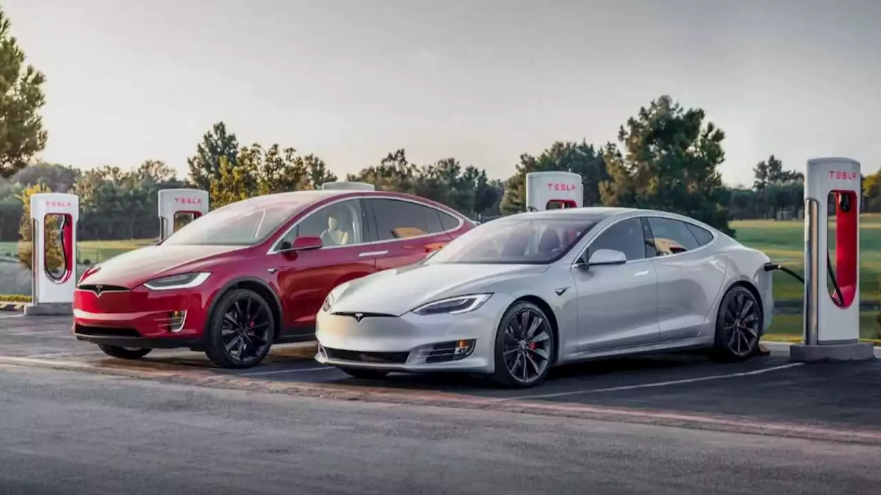 Tesla Model S, Model X UK Orders Get A Reacher To Grab Items From Drive Through Windows