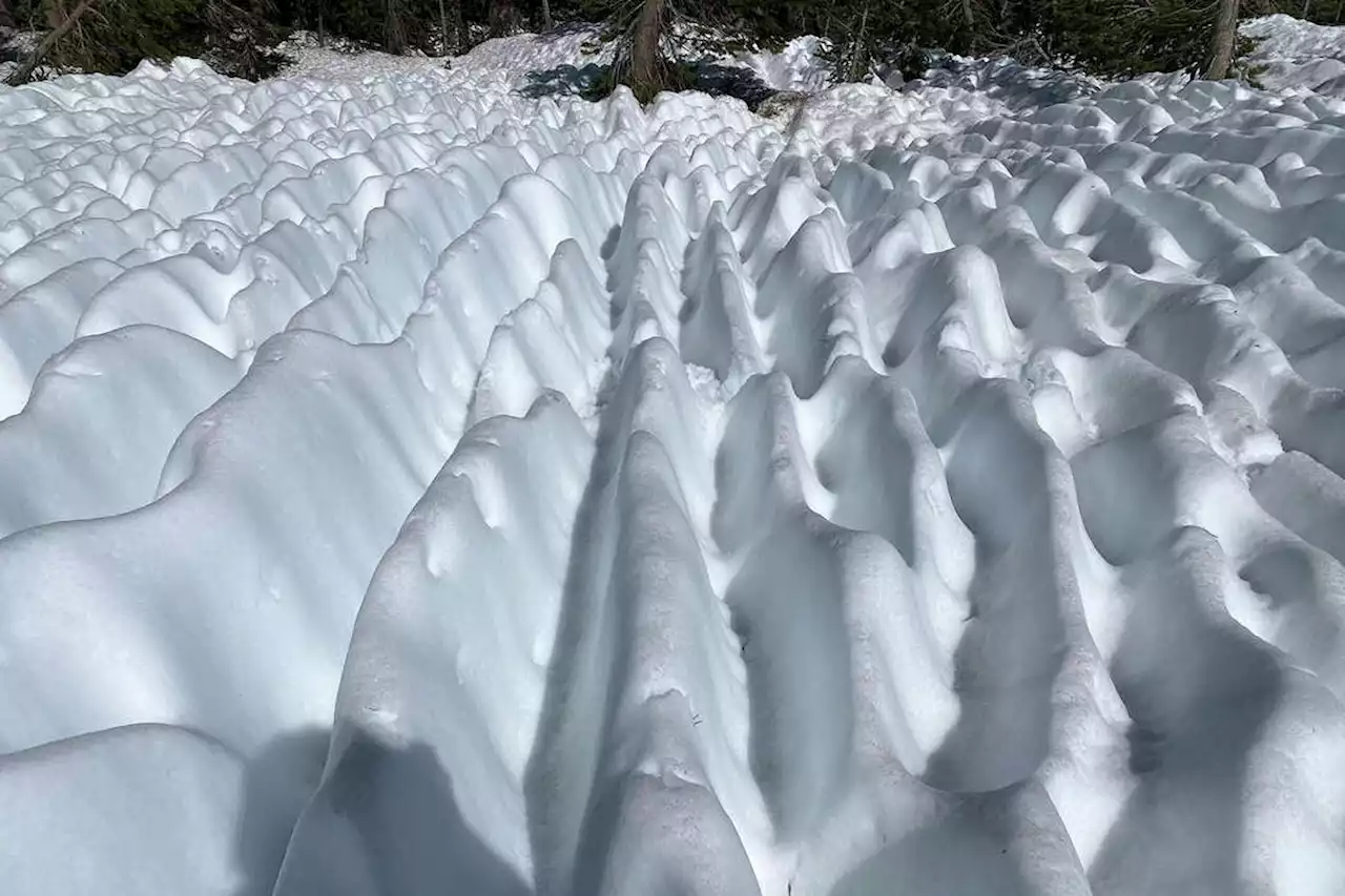 Ambientalista encontra quilômetros de fenômeno inusitado em área nevada nos EUA