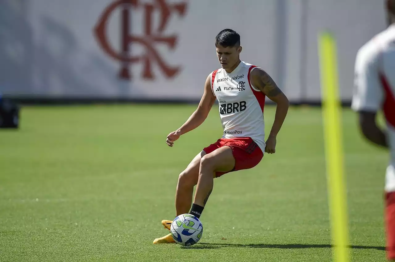 Luiz Araújo faz primeiro treino no Flamengo e deve ser reforço para a Copa do Brasil