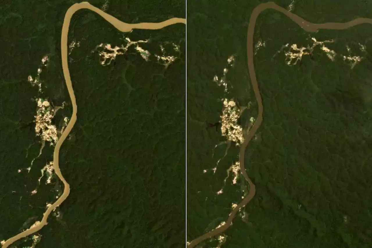 TI Yanomami: Imagens aéreas mostram mudança de cor em rio após ações contra garimpo; compare