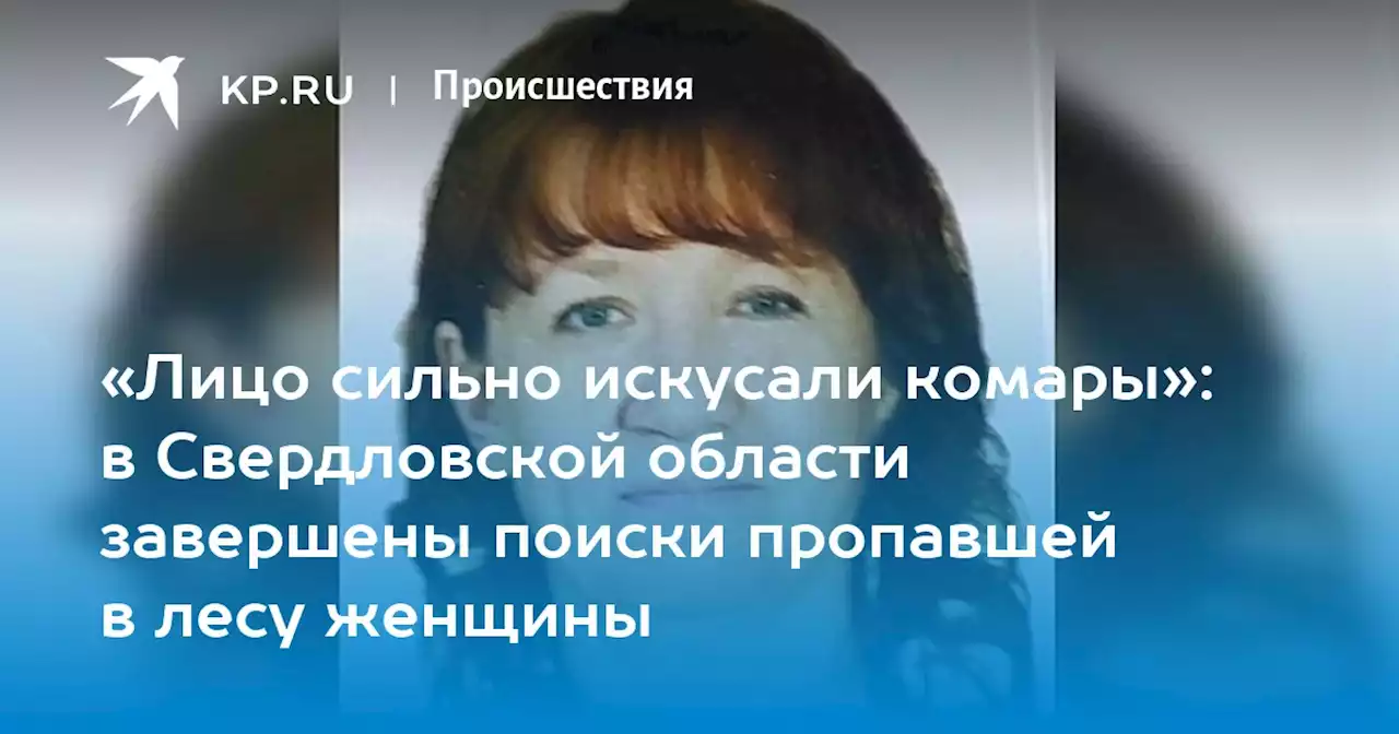 «Лицо сильно искусали комары»: в Свердловской области завершены поиски пропавшей в лесу женщины