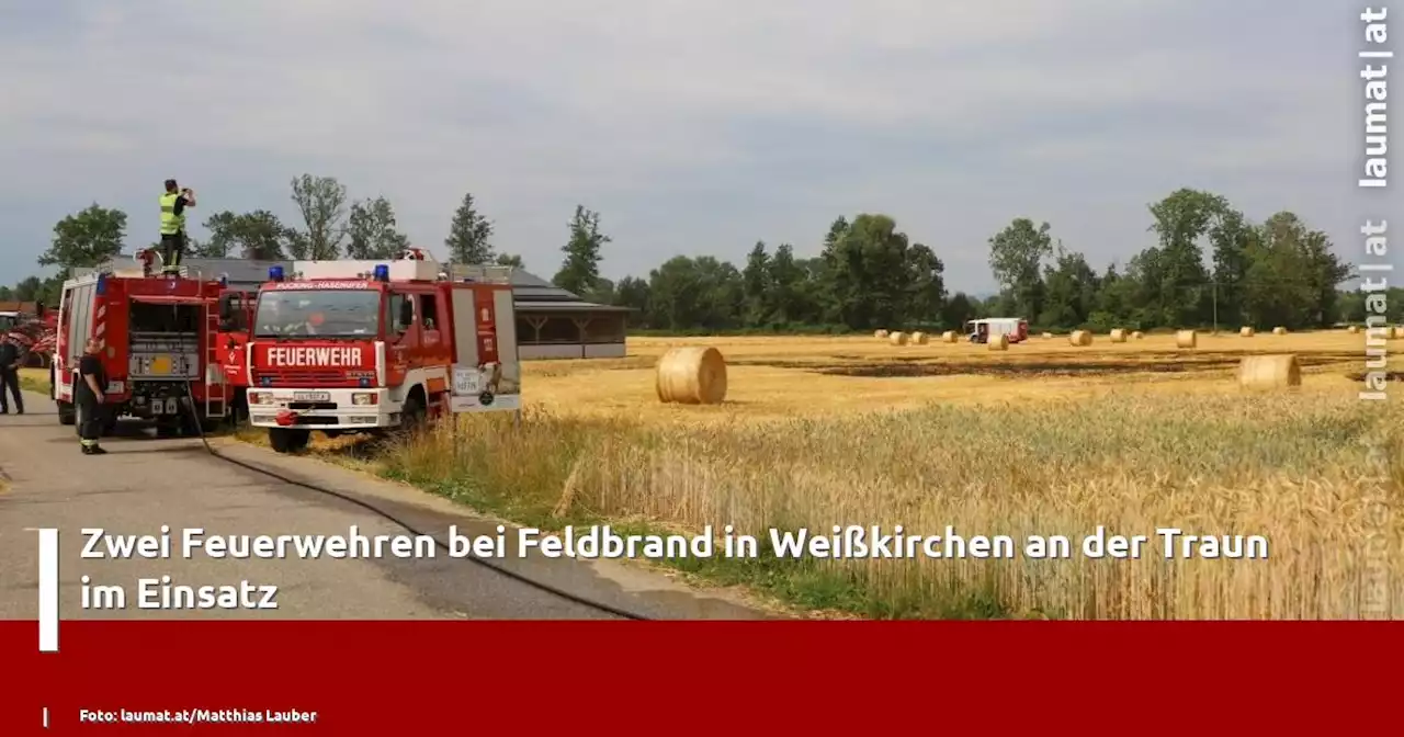 Zwei Feuerwehren bei Feldbrand in Weißkirchen an der Traun im Einsatz | laumat|at