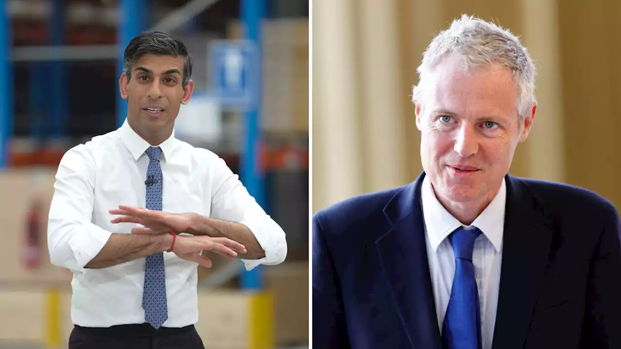 Zac Goldsmith quits government accusing Rishi Sunak of 'apathy' over the environment