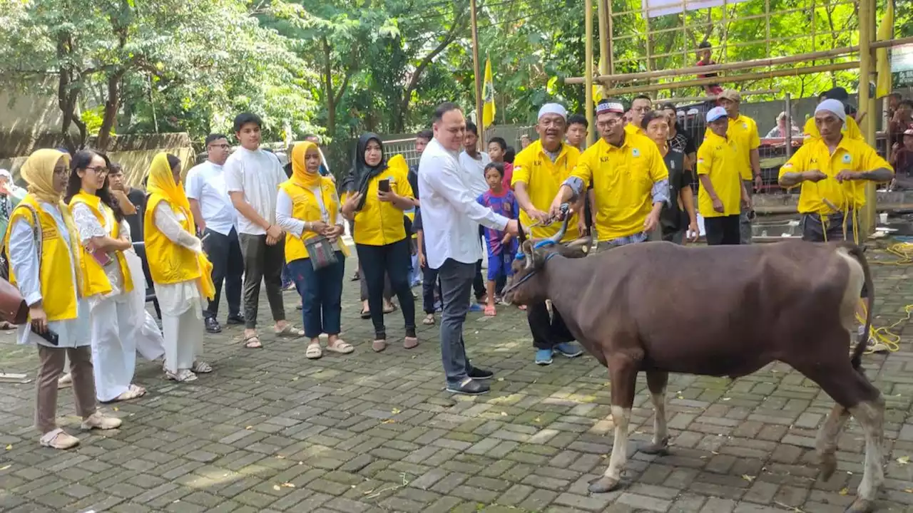 Salurkan Hewan Kurban, Golkar Jakarta Selatan Ajak Masyarakat Saling Berbagi