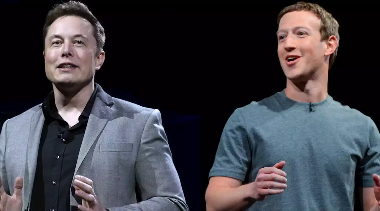 Elon Musk e Mark Zuckerberg 'invitati dal governo italiano a combattere al Colosseo': arriva la smentita