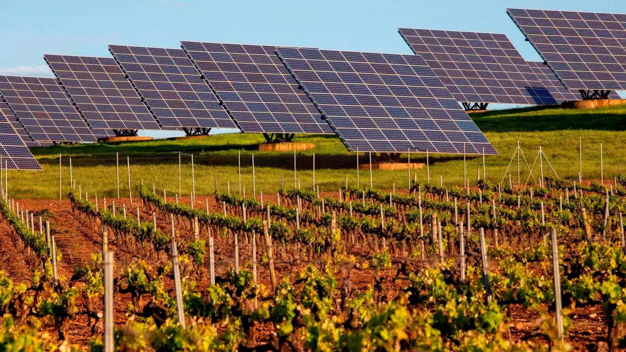 El presidente Petro le apuesta a la energía limpia de La Guajira con paneles solares