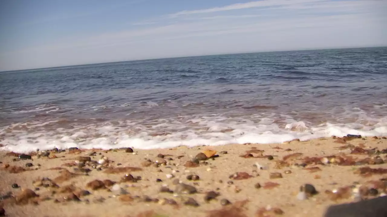 Conn. beach delays opening due to large tick population