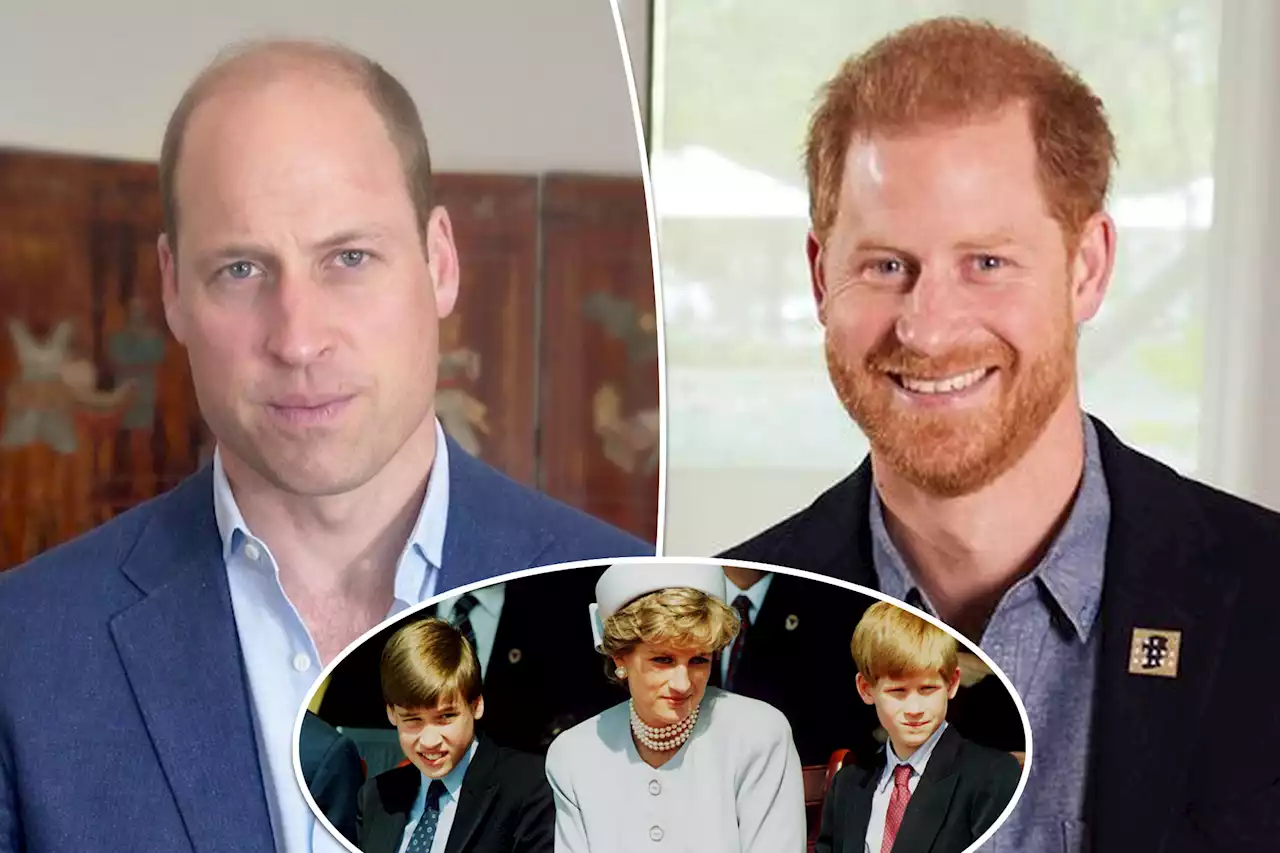 Estranged Princes Harry, William unite to honor Diana’s legacy