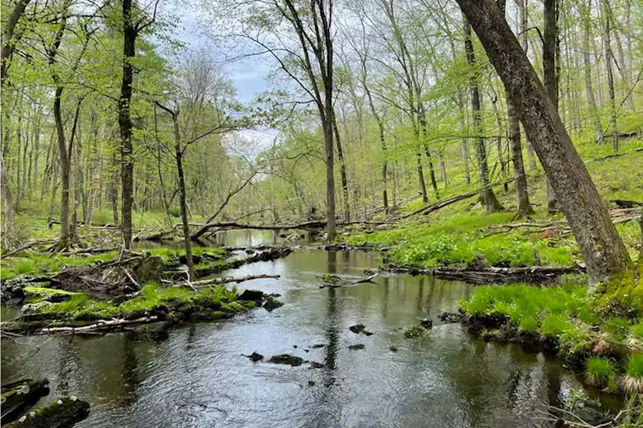 555-acre former hunting camp has been preserved in the Poconos near Bushkill Falls