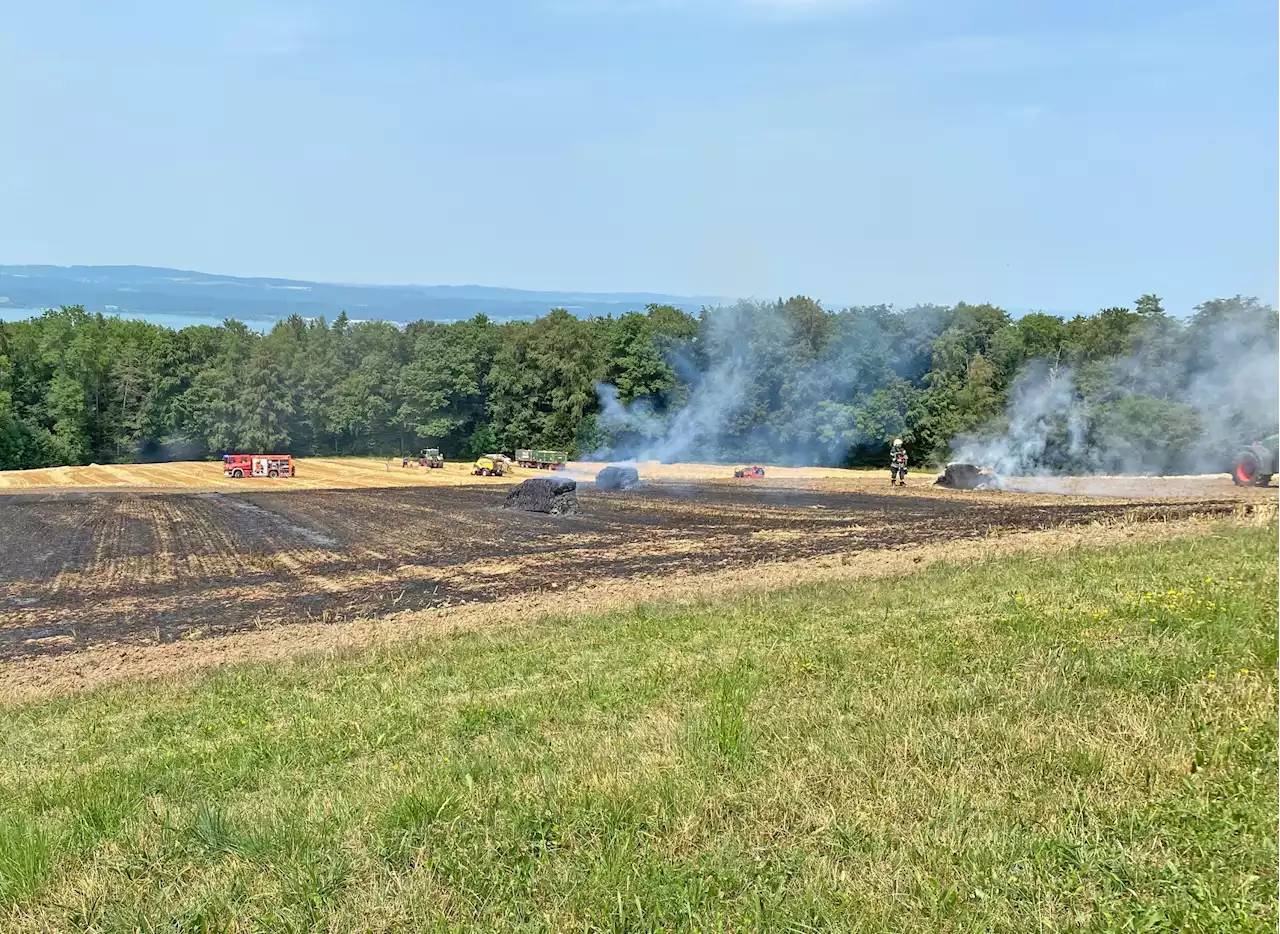 Steckborn TG: Brand von Ballenpresse und Feld