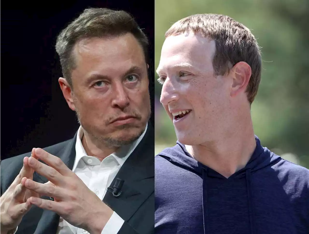 Duelo Elon Musk vs. Mark Zuckerberg sí podría ser en Coliseo de Roma, con una condición - Pulzo