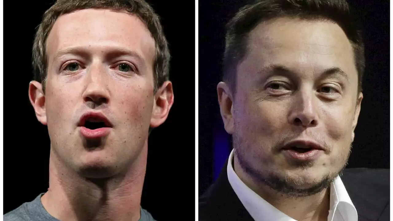 Zuckerberg vs Musk al Colosseo la sfida dei gladiatori miliardari?