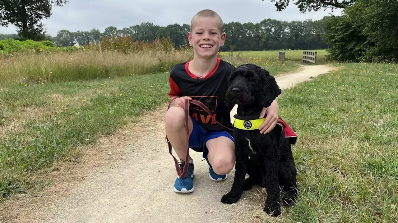 Tavi (9) uit de Wijk rent 100 kilometer voor een hulphond: 'Mijn vader heeft PTSS'