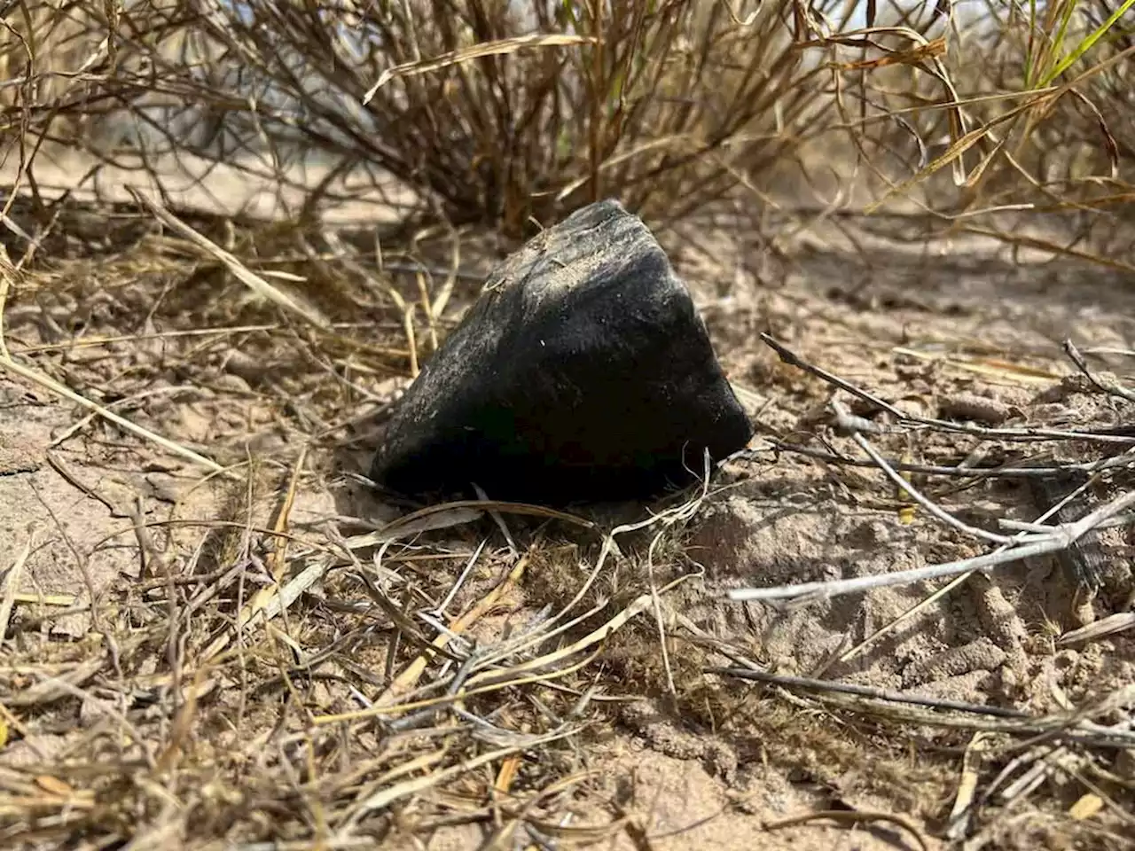 Meteorite that caused South Texas sonic boom now on display at San Antonio's Witte Museum