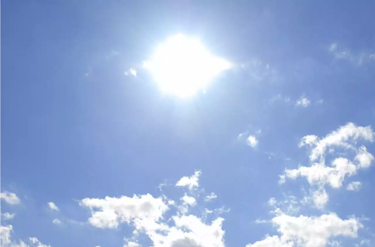 Juni war sonnig, warm und sehr trocken - Schweizer Bauer