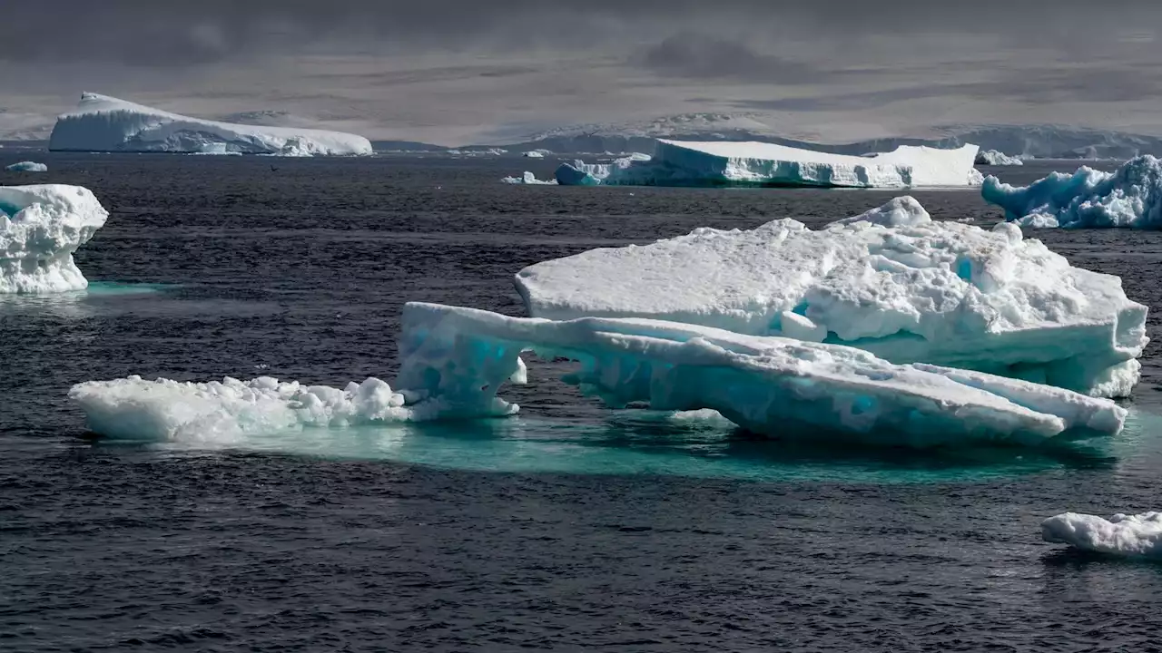 Antarctic sea ice at record low for end of June, warns Met Office