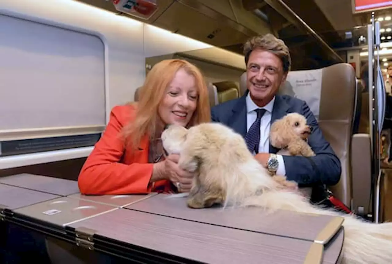 Le iniziative Trenitalia e Leidaa per gli animali domestici in treno