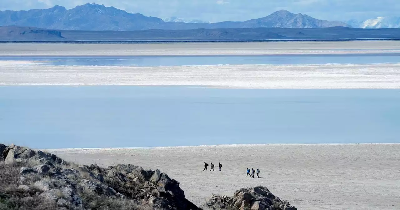 Thousands of nesting birds have vanished at Great Salt Lake’s Gunnison Island