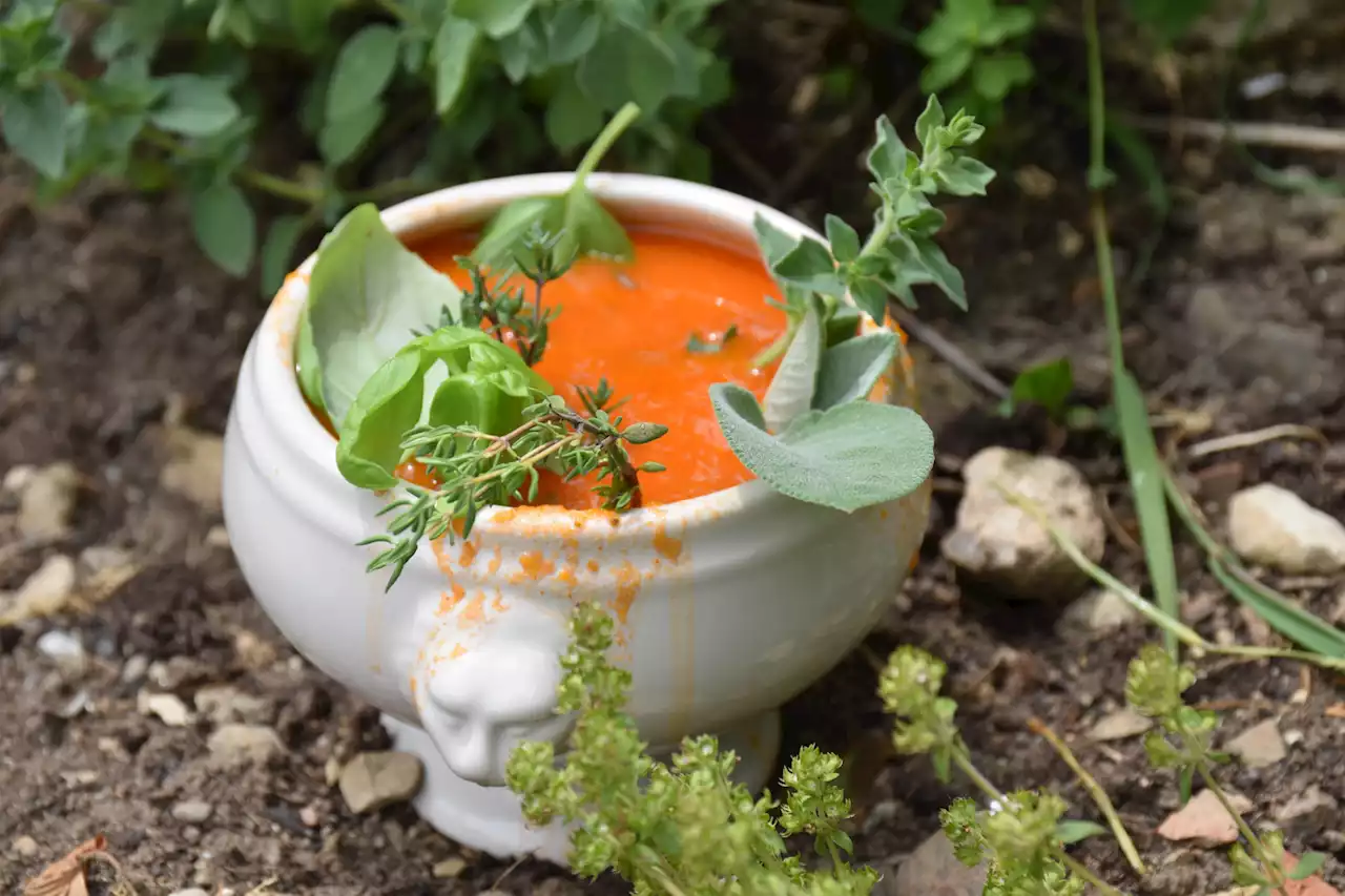 Die besten Tomatensuppen – So gut wie jetzt schmeckt sie selten