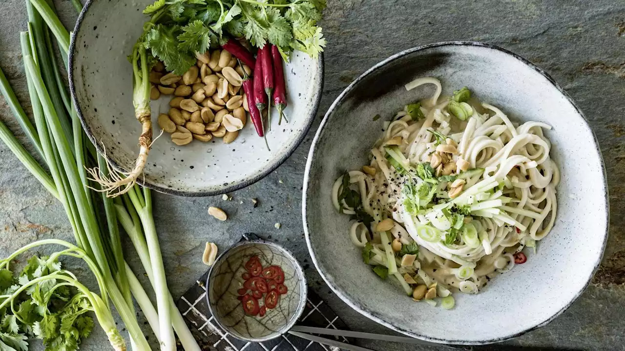 Rezept für Sesamnudeln: Leckere koreanische Udonnudeln, ganz einfach (stern+)