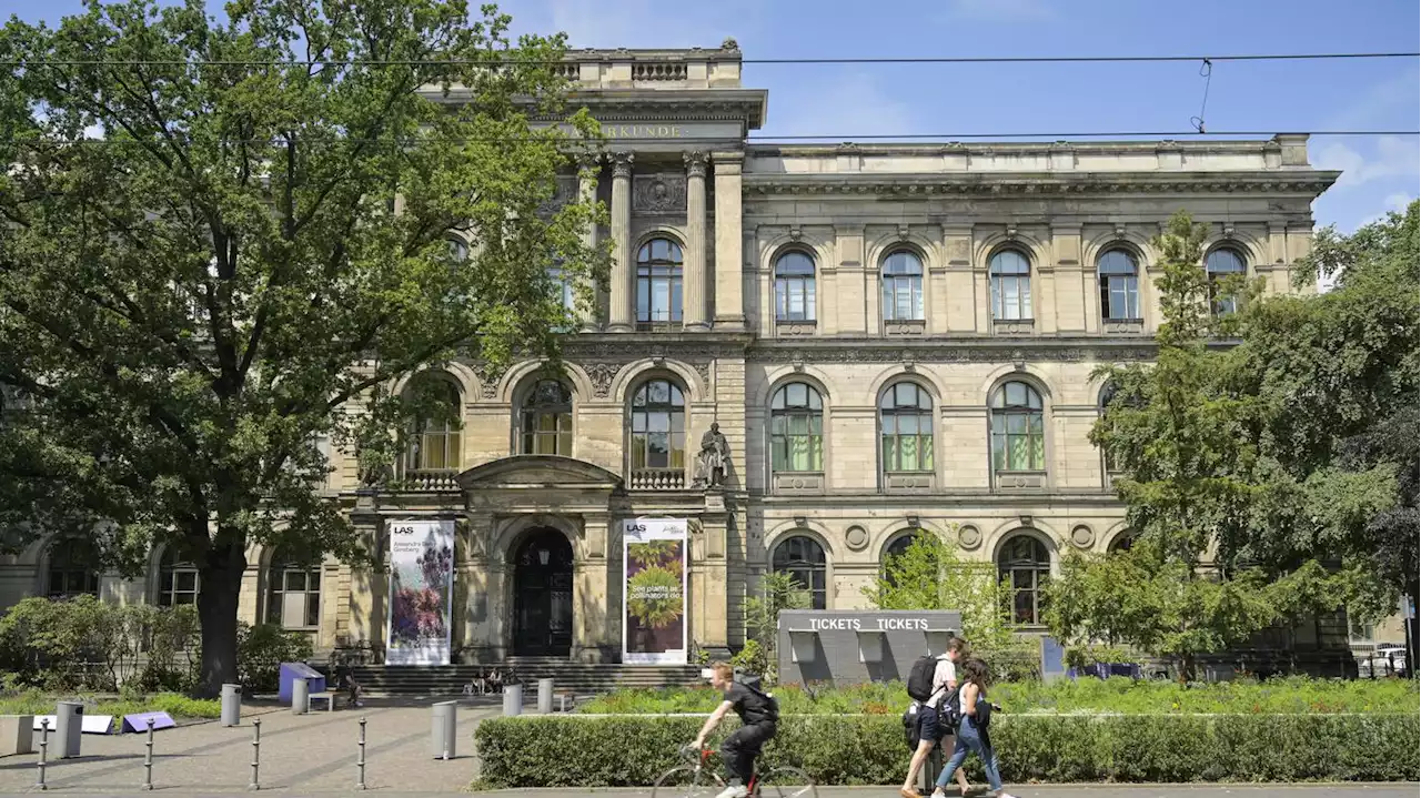 Entscheidung im Architekturwettbewerb: Berlins Museum für Naturkunde bekommt ein neues Zentrum