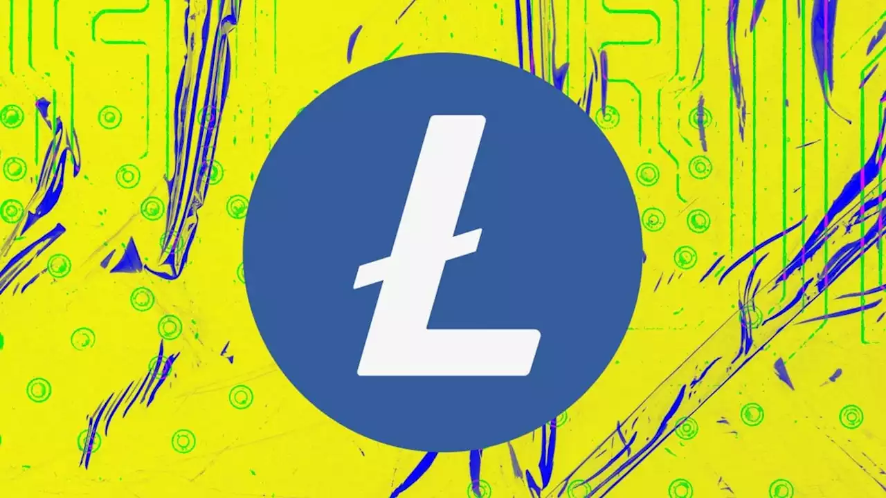 Litecoin blasts past $100 amid surging hash rate, upcoming 'halving'