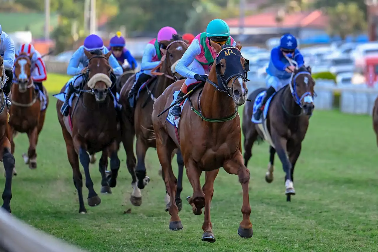 Durban July: Bank on the dream team | The Citizen