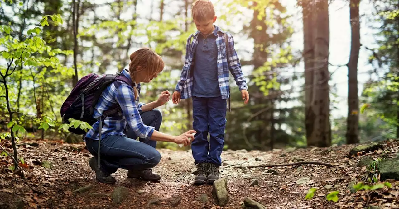 Tick on Child's Skin? What to Do First - Today's Parent