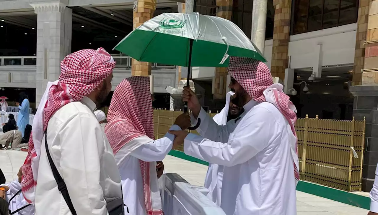 شؤون الحرمين توزع (120) ألف مظلة وسجادة على الحجاج داخل المسجد الحرام