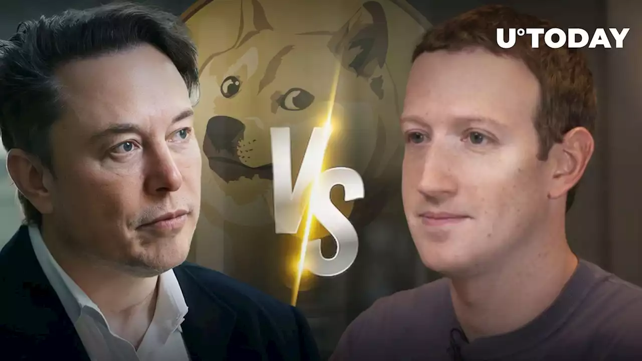 DOGE Army Reacts to Elon Musk Saying He May Fight Zuckerberg in Colosseum