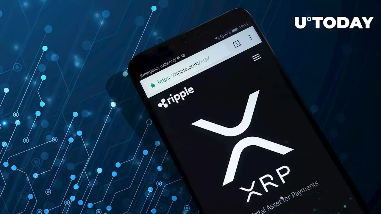 New XRP Ledger Wallet Unveiled by Ripple: Here's Your Ultimate Guide