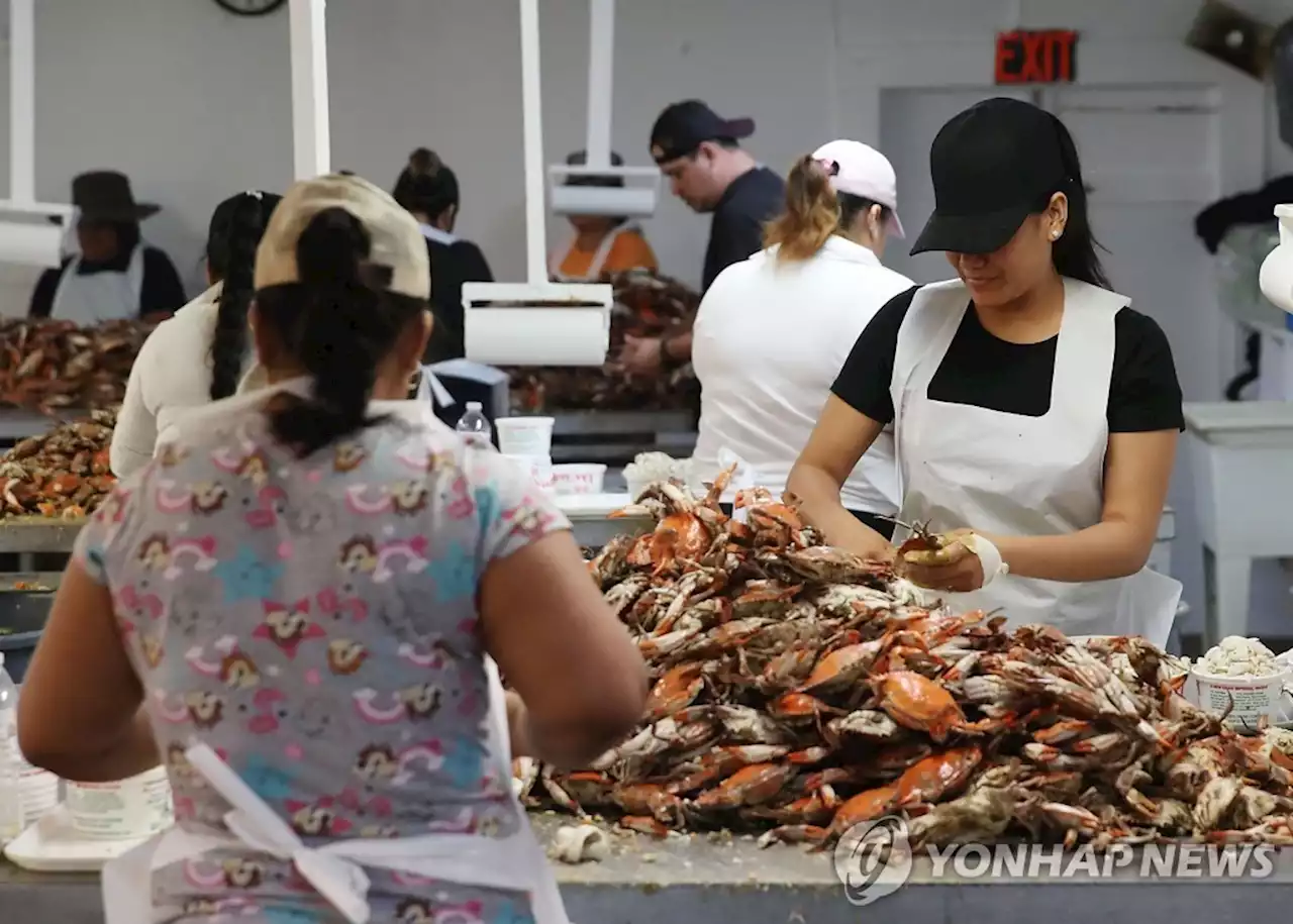 성별 고용격차, 절반만 줄여도 글로벌 GDP 6% 늘어난다 | 연합뉴스