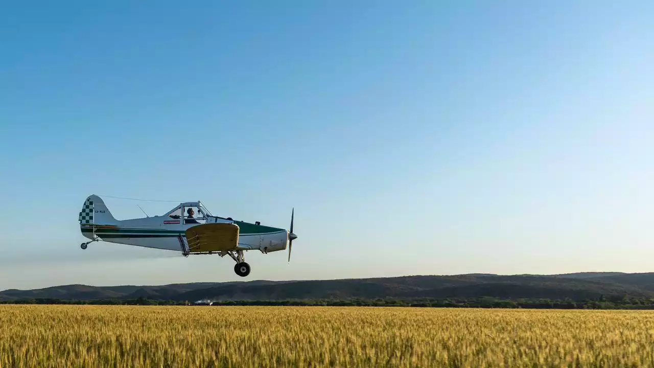 Buschflieger - Abenteuer am Himmel: Südamerika