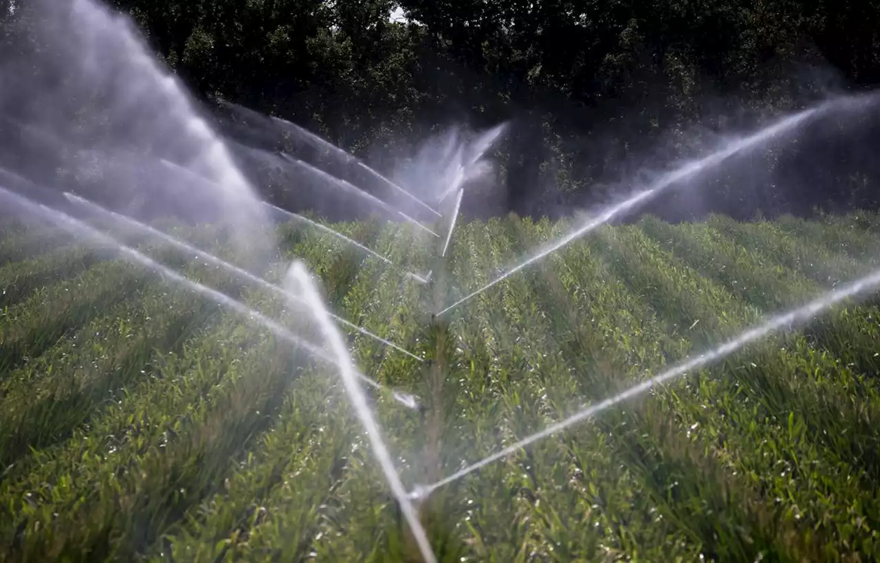 « Le problème avec l’eau est vaste et important » alerte Juliette Duquesne