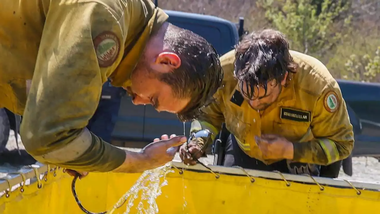 Rain brings much-needed relief to firefighters battling Nova Scotia wildfires