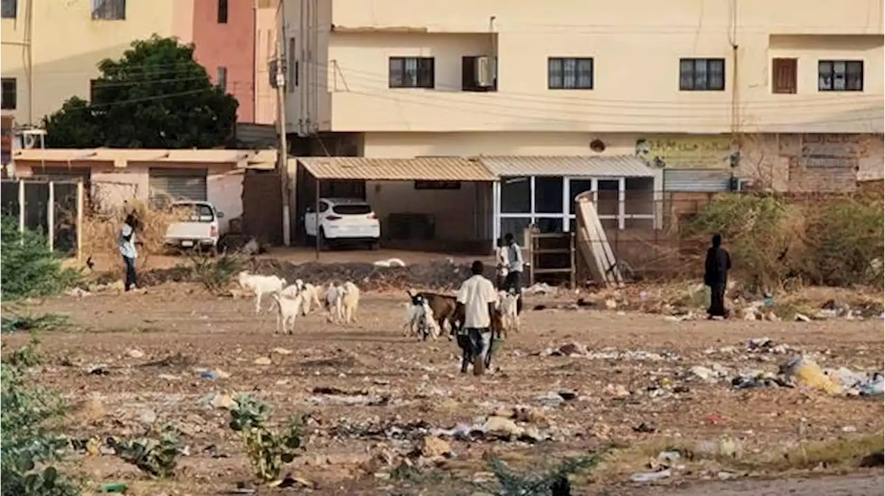 لا أفق للتهدئة.. نزاع السودان يدخل أسبوعه الثامن