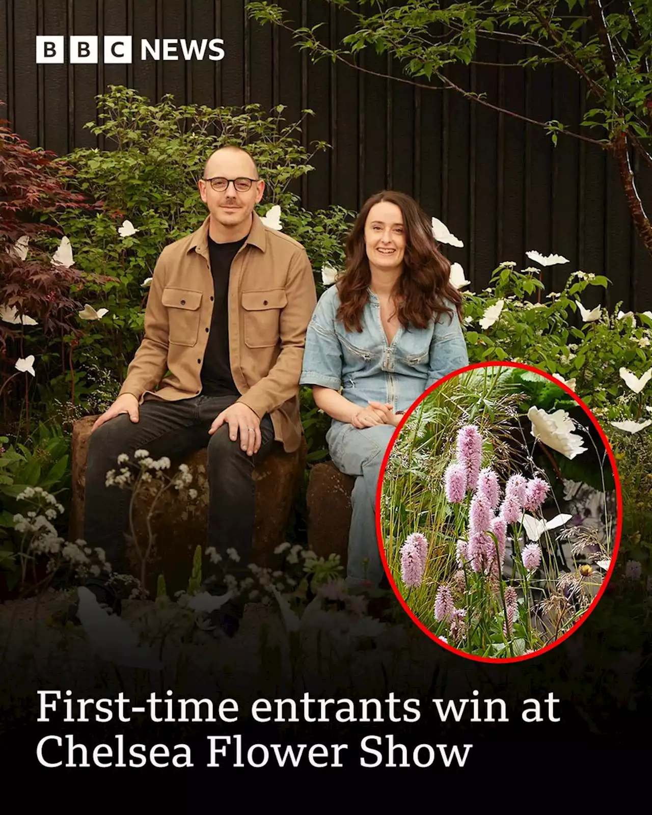 First-time entrants win award at Chelsea Flower Show