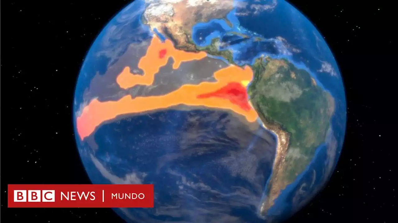 Los altos costos económicos que el fenómeno de El Niño en 2023 y 2024 les traerá a EE.UU. y el mundo - BBC News Mundo