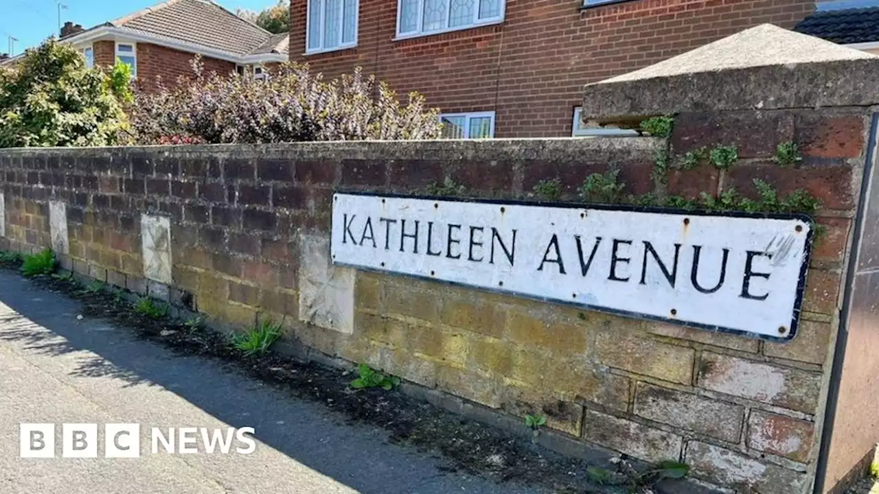 Bedworth: Woman released on bail after fatal dog attack